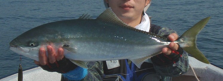 青森県沖釣り情報 9 釣りバカ天国裏話