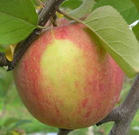 tƂ炸tW.jpg